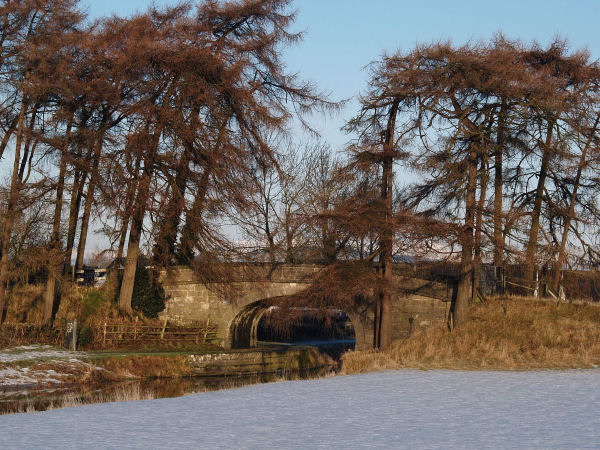 Bergen Tree Services Cumbria & North Lancs Tree Surgeons